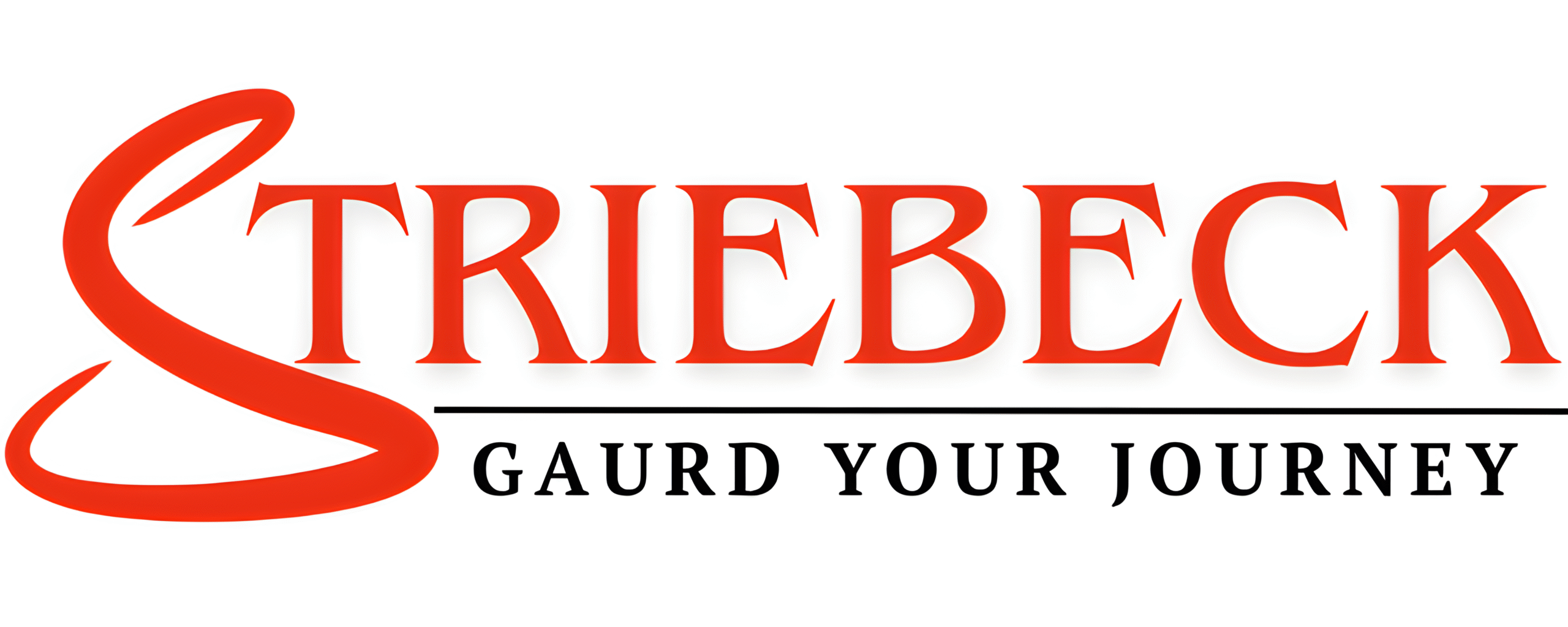 striebeck-logo-scaled.png