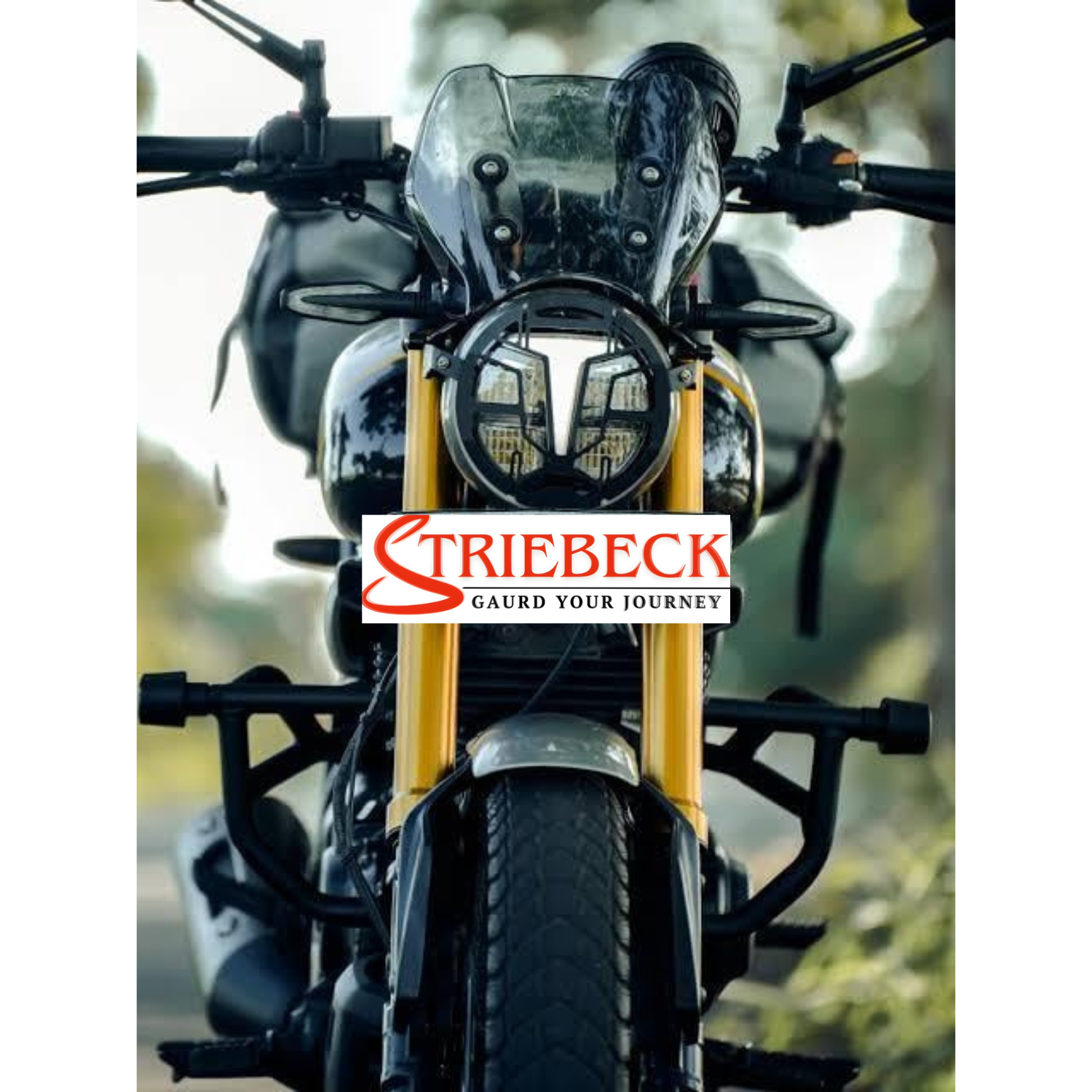 TVS RONIN WINDSHIELD